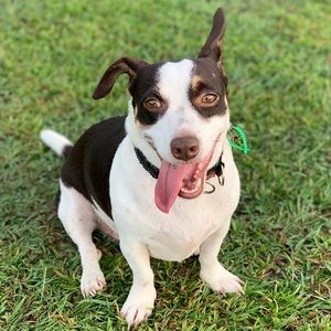 Meet your Posher, Kari